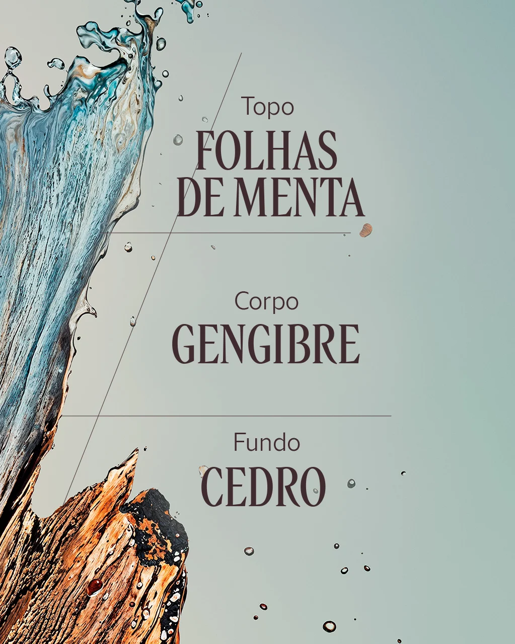 Presente Sabonete L&iacute;quido e Eau de Toilette C&egrave;dre Gingembre, , large